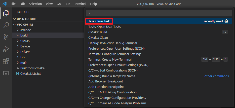 VSC Tasks Task Run