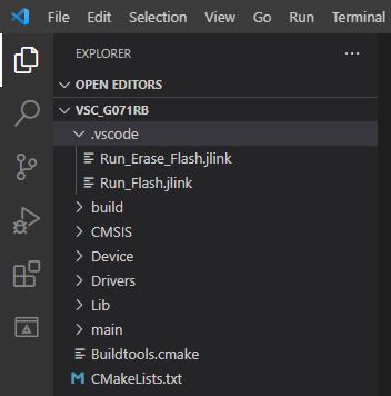 Contenido directorio vscode